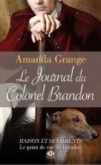 deux ans orgeuil et préjugés,anniversaire,pride and prejudice,jane austen,amanda grange,milady,le journal du colonel brandon,the pride and prejudice challenge